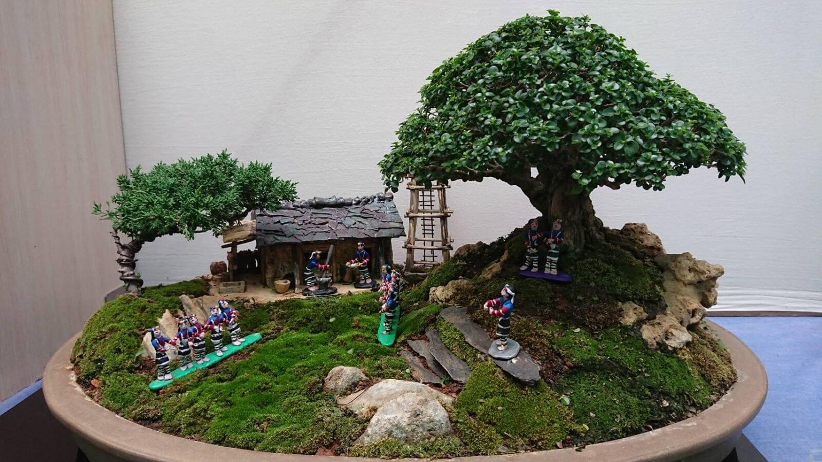 Cây cảnh nghệ thuật & bonsai mini – Đặt hàng ngay tại Cây Xanh Thuận Hoa
