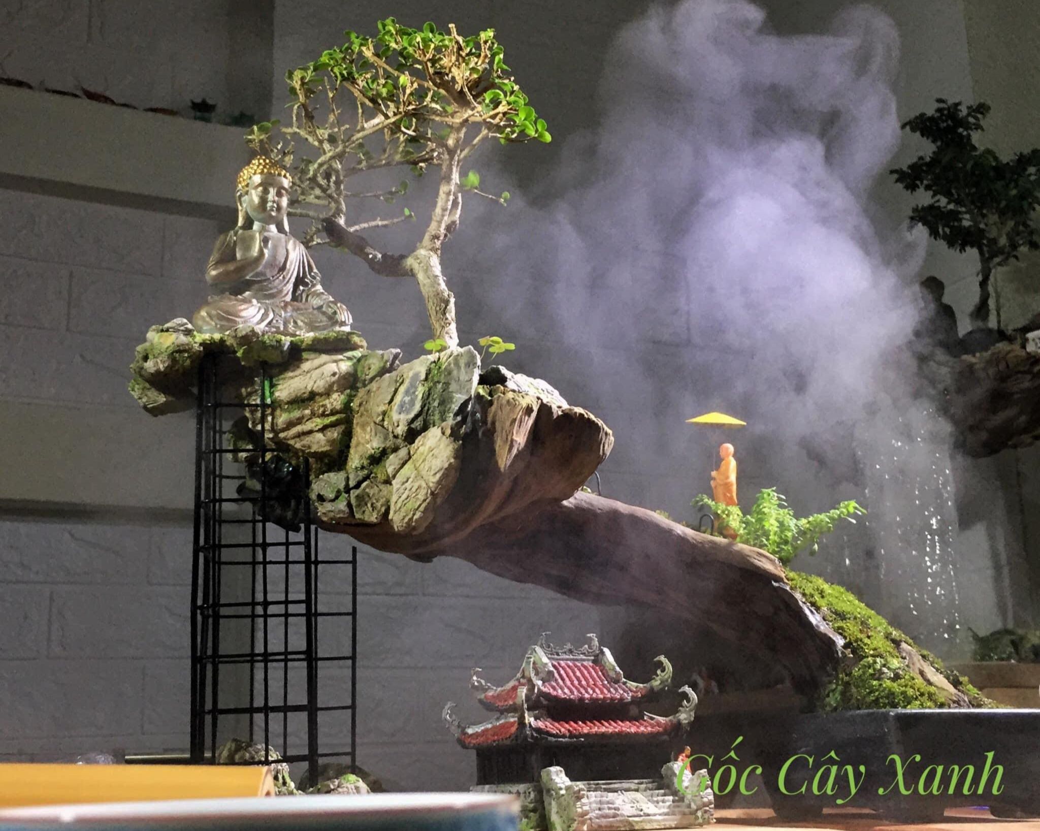 Cây cảnh nghệ thuật & bonsai mini – Đặt hàng ngay tại Cây Xanh Thuận Hoa