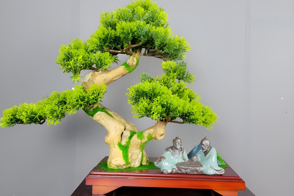 Cây cảnh nghệ thuật & bonsai mini – Đặt hàng ngay tại Cây Xanh Thuận Hoa