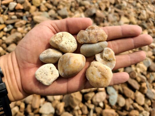 Đá Cuội, Đá Cảnh Tự Nhiên – Nâng Tầm Không Gian Sống