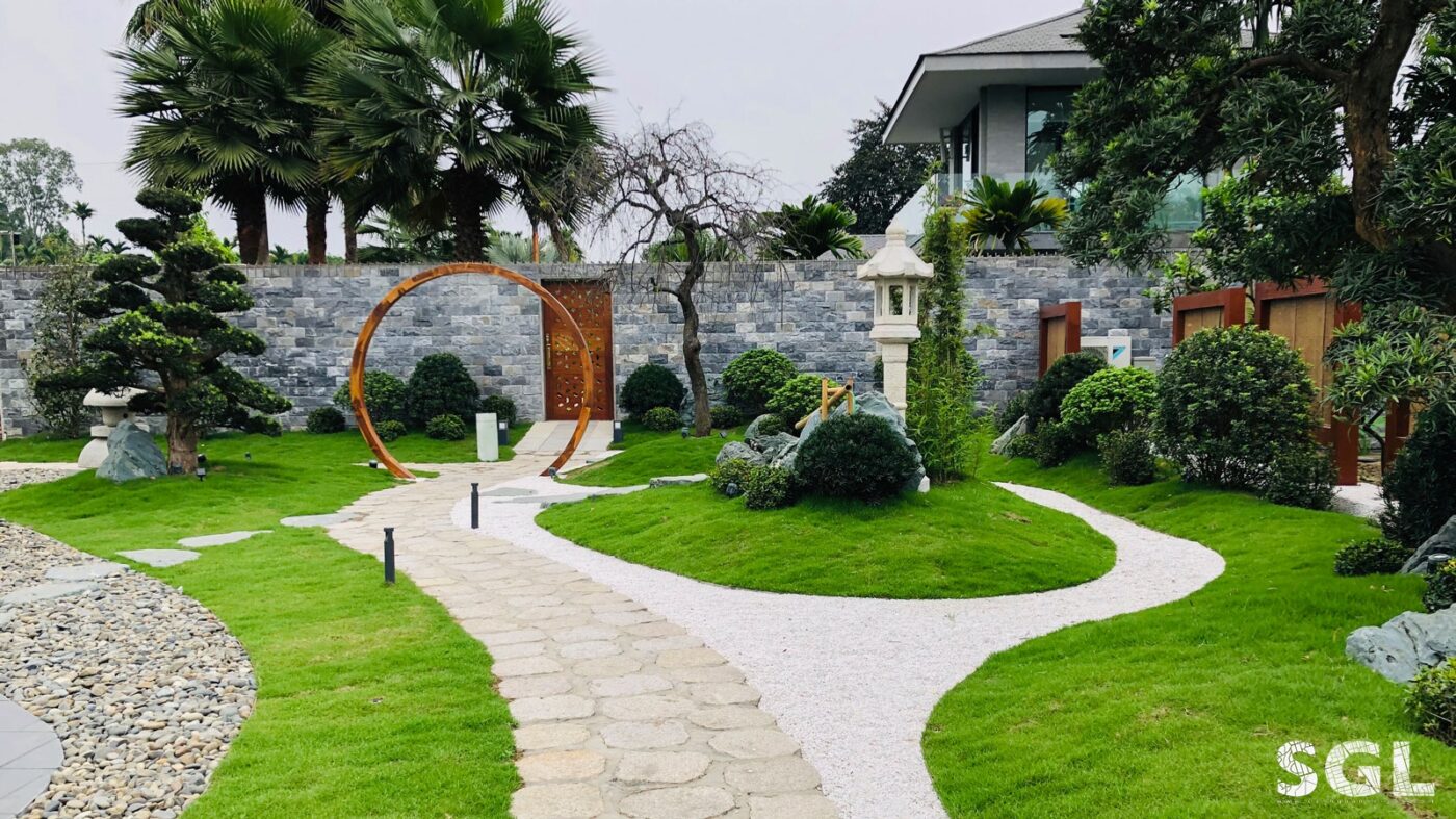 Cung cấp cỏ Nhung Nhật chất lượng, giá rẻ tại Vườn Cây Xanh Thuận Hoa