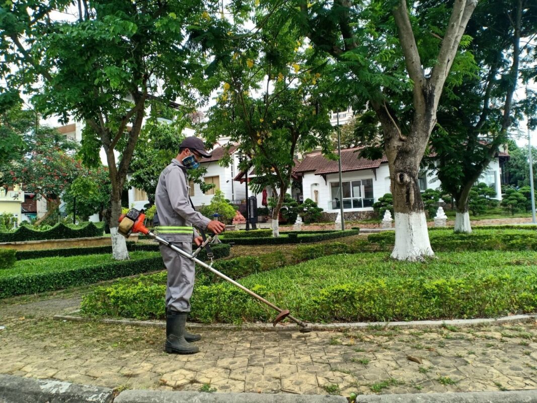 Cắt tỉa cây cảnh định kỳ – Dịch vụ tận tâm từ Cây Xanh Thuận Hoa