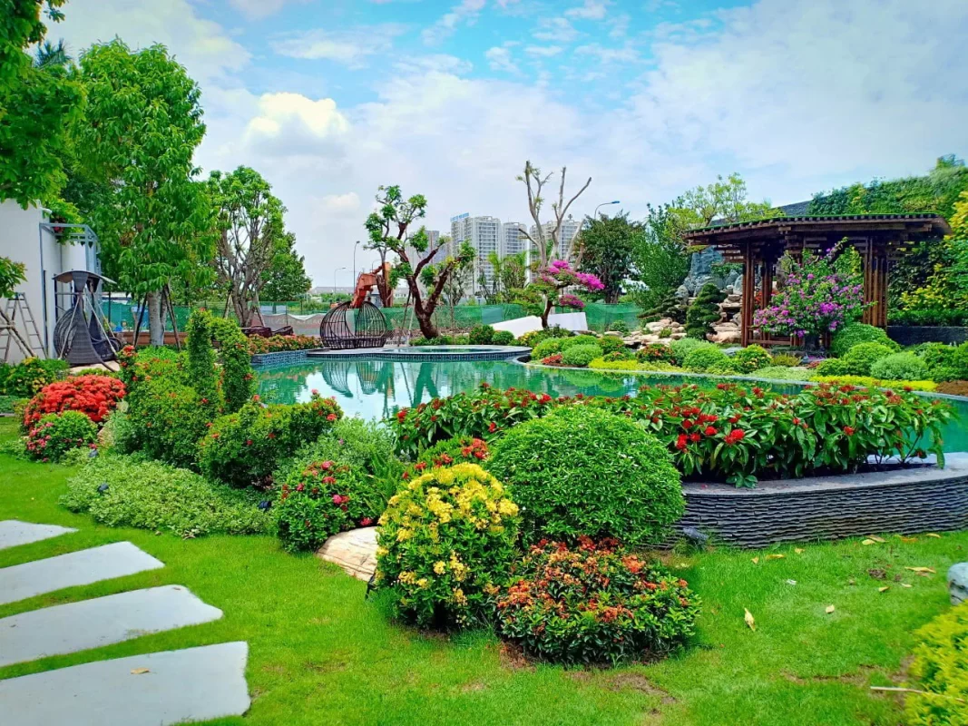 Tư vấn thiết kế thi công cảnh quan – Cây Xanh Thuận Hoa, hotline: 0972.715.618