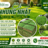 cỏ nhung nhật
